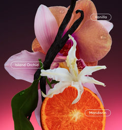 All Over Deo - Bright Scent