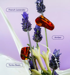 Skin Replenishing Body Wash - Classic Notes